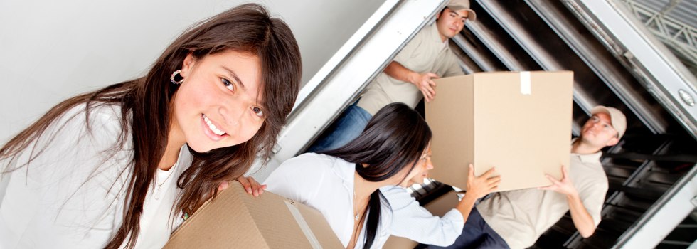 Professional Removalists Paskeville